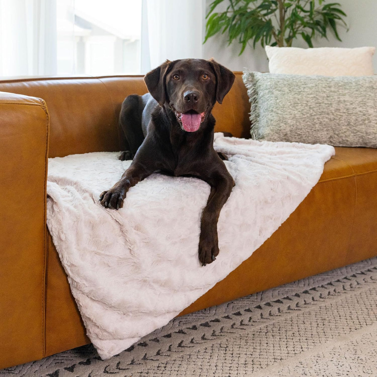 Dog Blanket, Shag Faux Fur, Taupe, 30" x 40"