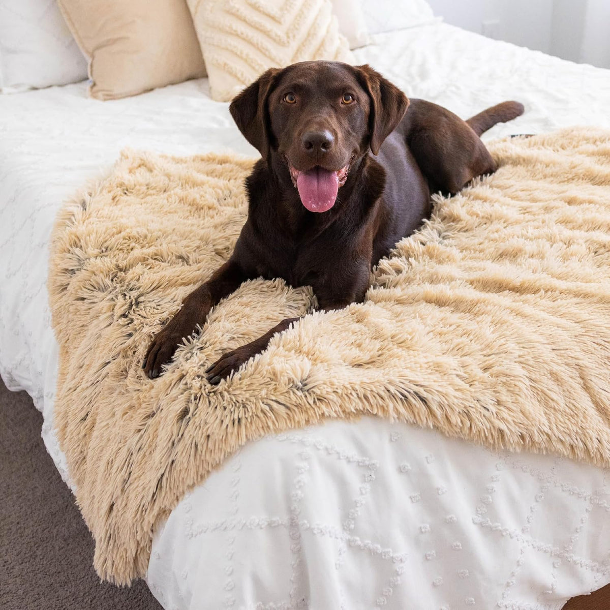 Dog Blanket, Shag Faux Fur, Taupe, 30" x 40"