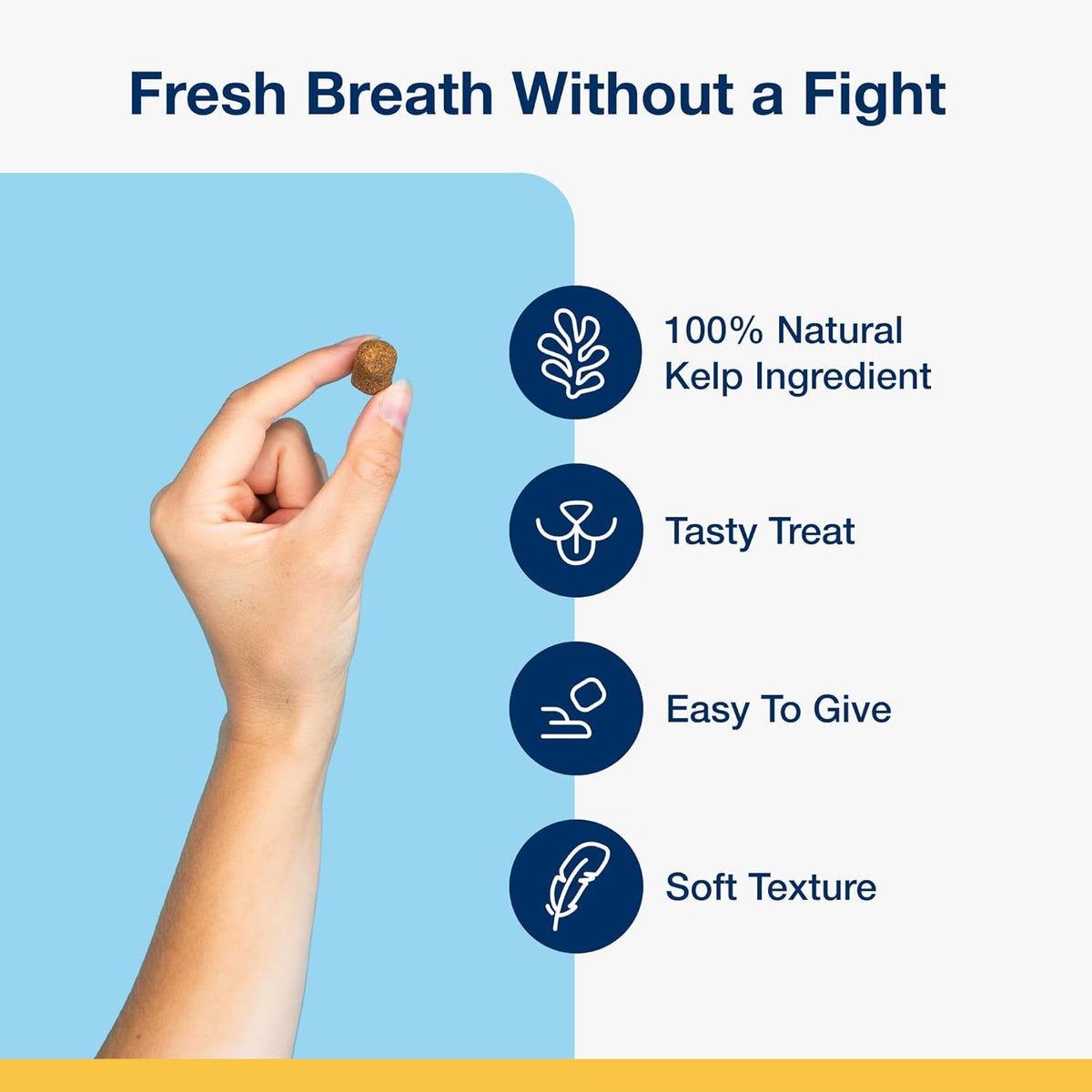 Dental Soft Chews with Natural Kelp for Dogs - 90 Ct