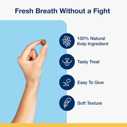Dental Soft Chews with Natural Kelp for Dogs - 90 Ct