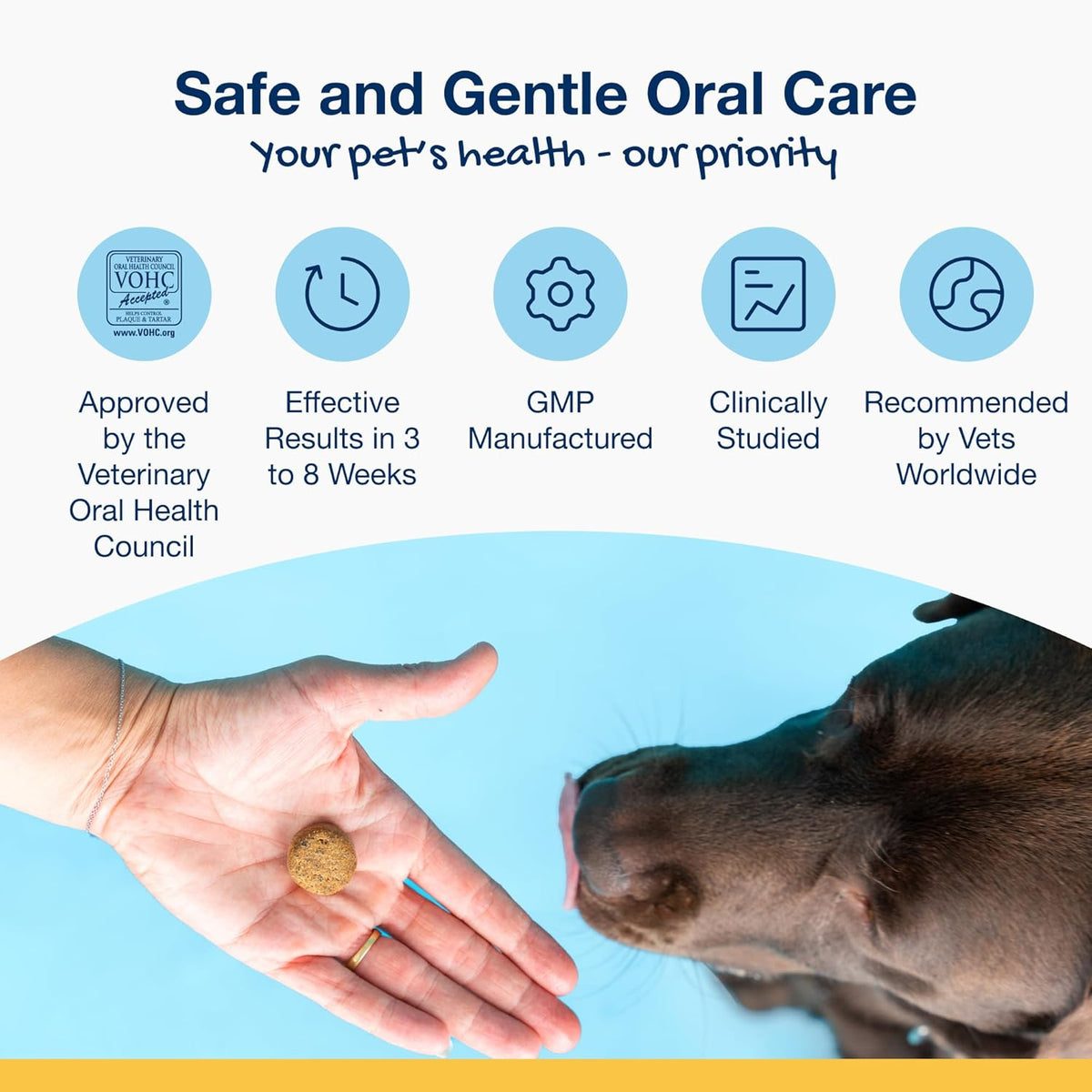 Dental Soft Chews with Natural Kelp for Dogs - 90 Ct