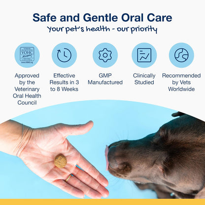 Dental Soft Chews with Natural Kelp for Dogs - 90 Ct