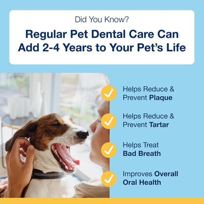 Dental Soft Chews with Natural Kelp for Dogs - 90 Ct