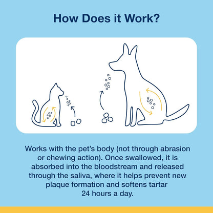 Dental Soft Chews with Natural Kelp for Dogs - 90 Ct
