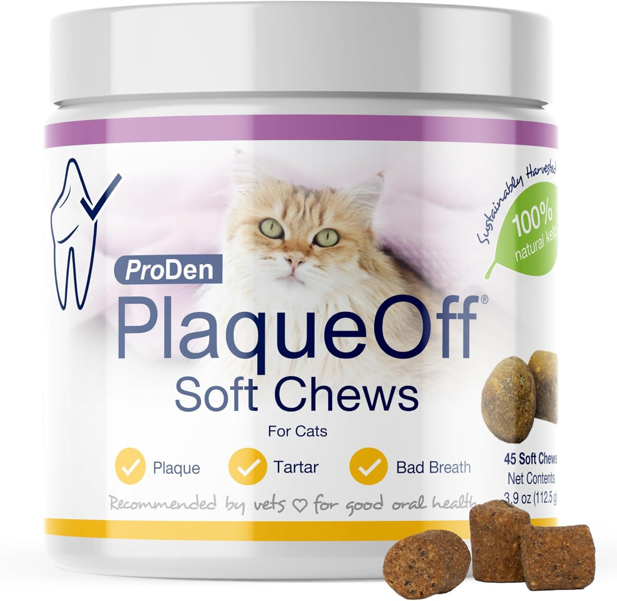 Dental Soft Chews with Natural Kelp for Dogs - 90 Ct