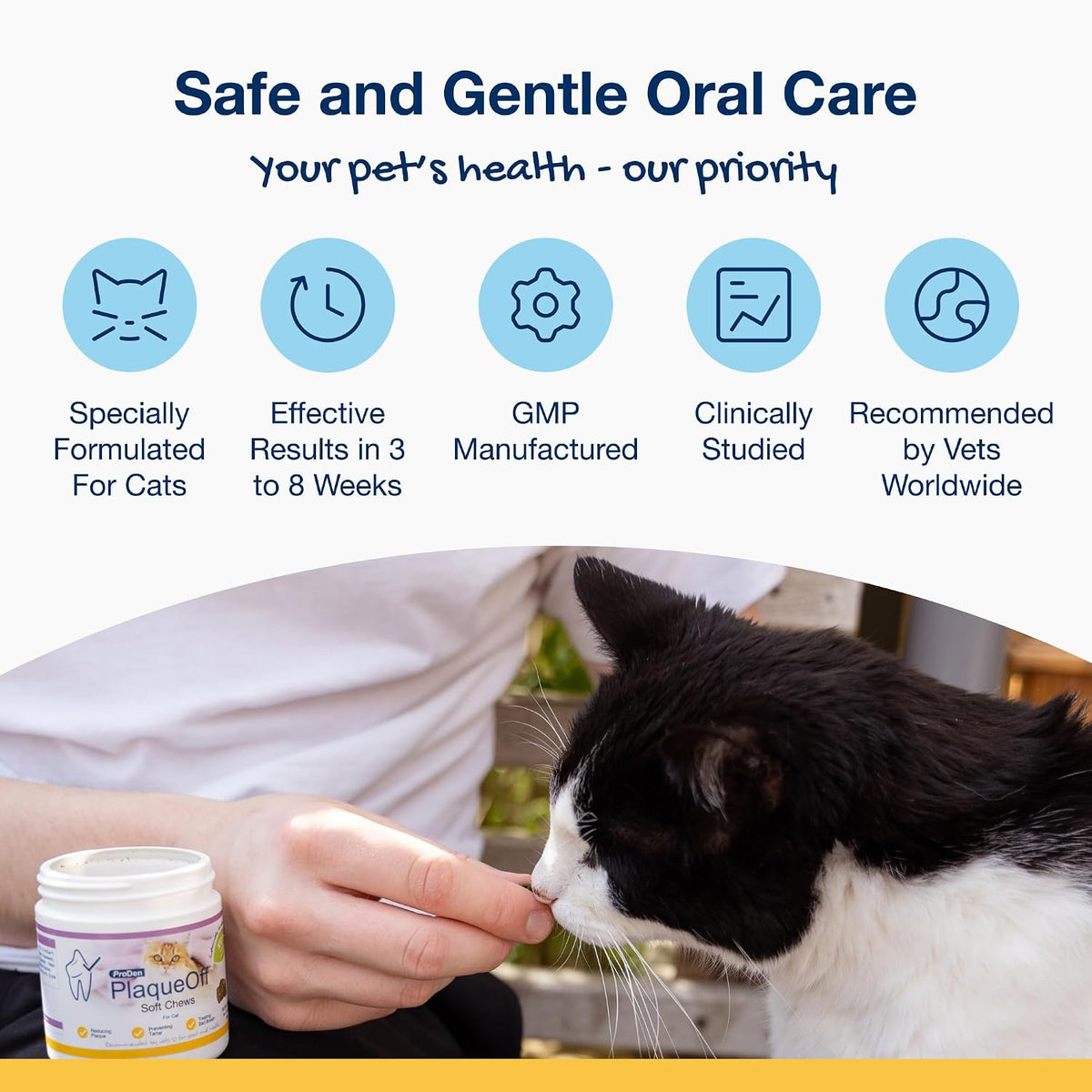 Dental Soft Chews with Natural Kelp for Dogs - 90 Ct