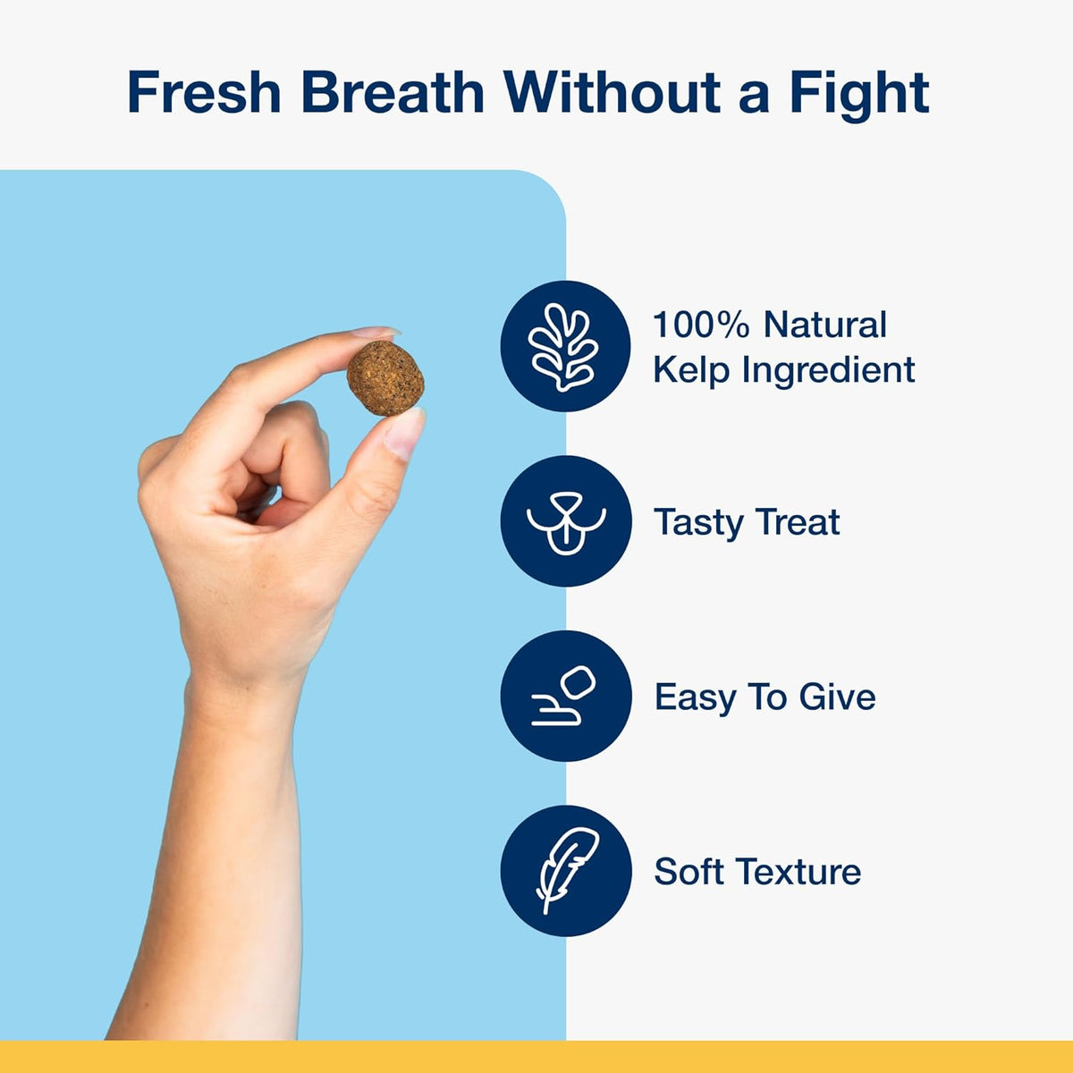Dental Soft Chews with Natural Kelp for Dogs - 90 Ct