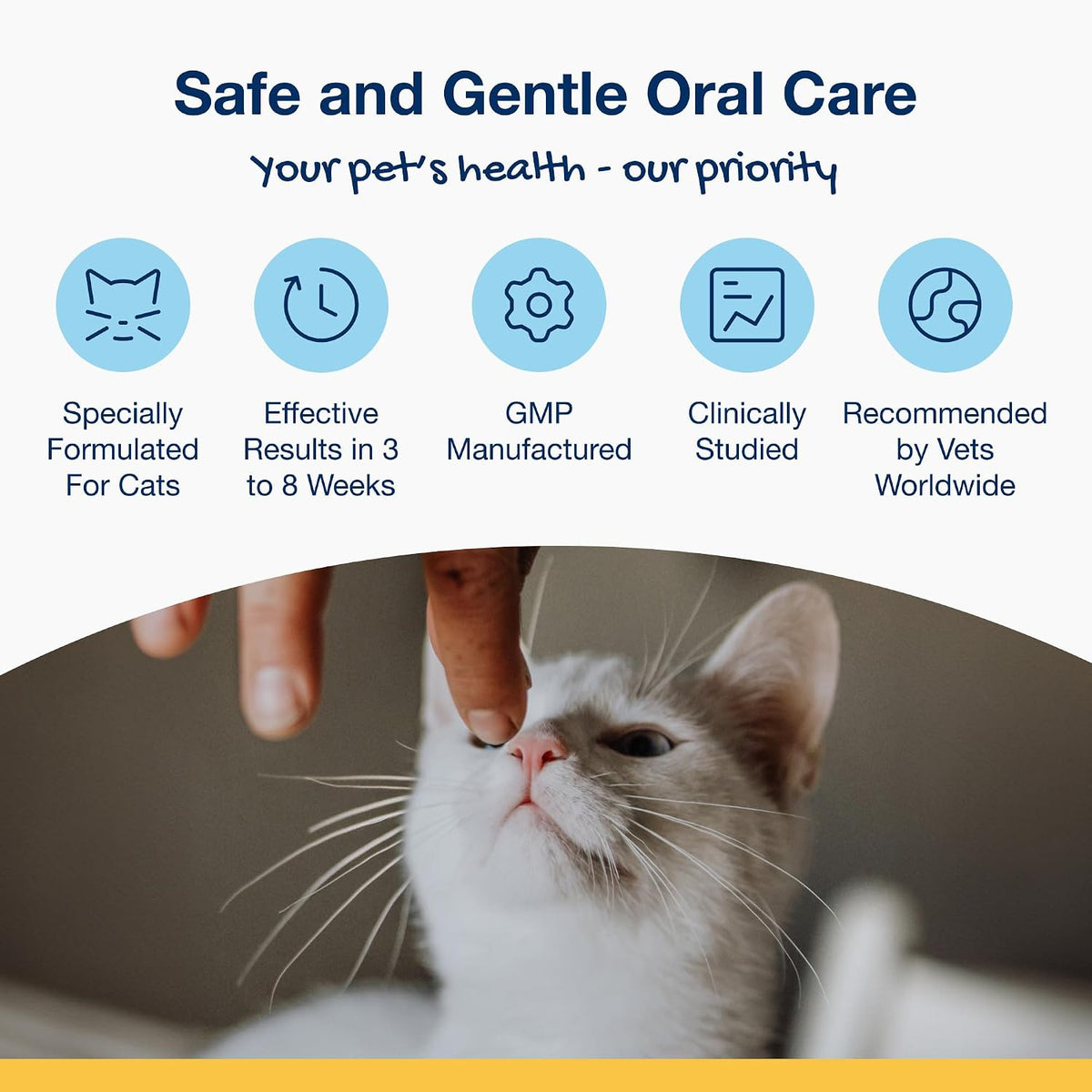 Dental Soft Chews with Natural Kelp for Dogs - 90 Ct