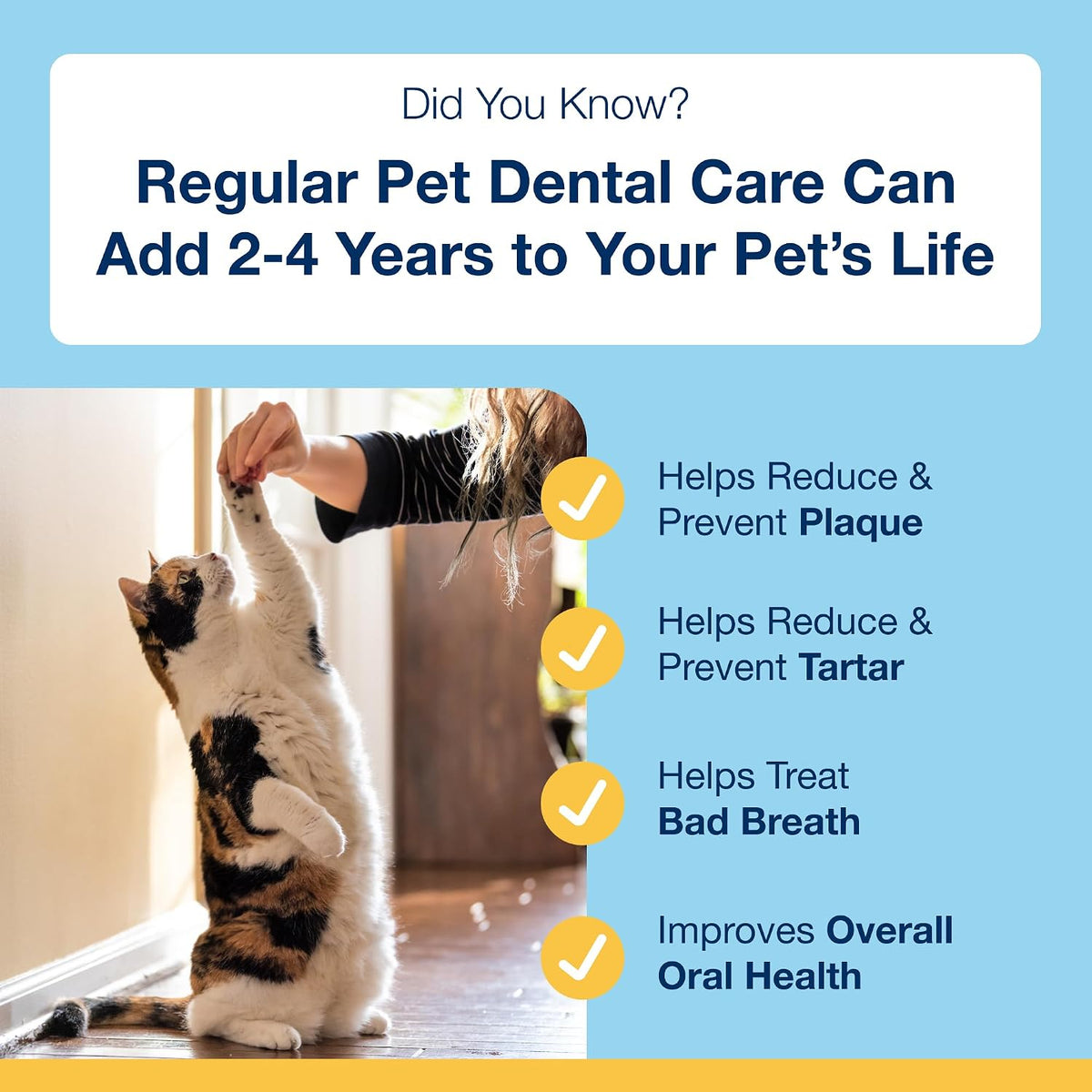Dental Soft Chews with Natural Kelp for Dogs - 90 Ct