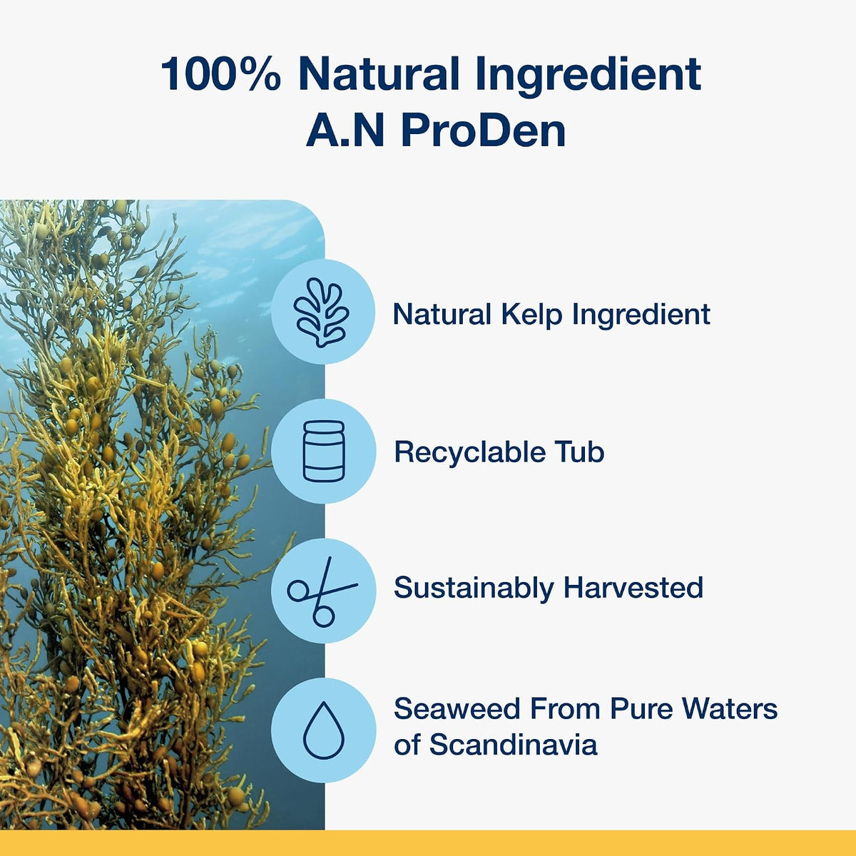 Dental Soft Chews with Natural Kelp for Dogs - 90 Ct