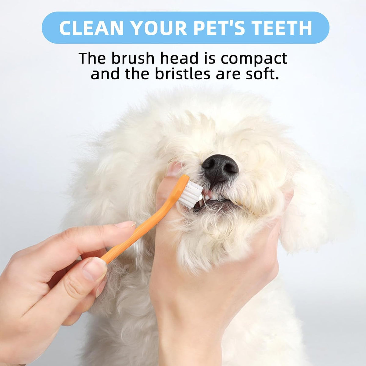 Dog Toothbrush and Toothpaste Kit Vanilla Dog Toothpaste(70g) | Nylon Bristle,Double-Head Dog Toothbrush,Dog Finger Toothbrush,Puppy Tooth Brushing Kit,Pet Dental Care Kit for Dogs