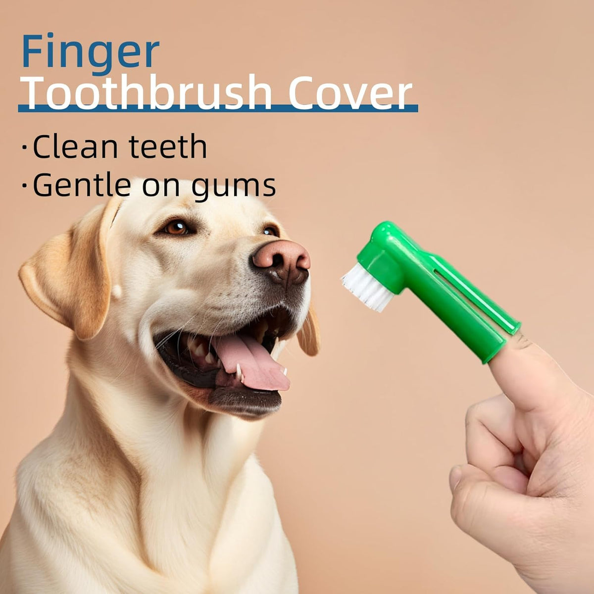 Dog Toothbrush and Toothpaste Kit Vanilla Dog Toothpaste(70g) | Nylon Bristle,Double-Head Dog Toothbrush,Dog Finger Toothbrush,Puppy Tooth Brushing Kit,Pet Dental Care Kit for Dogs