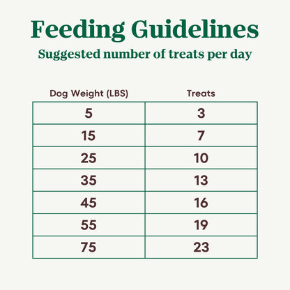 Crunchy Dog Treats with Real Mixed Berries, 16 oz