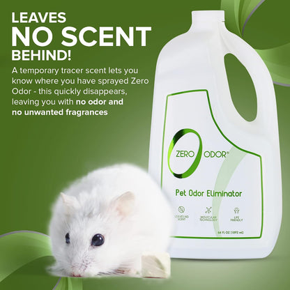 Pet Odor Eliminator Spray for Dog & Cat Urine, Carpet Deodorizer