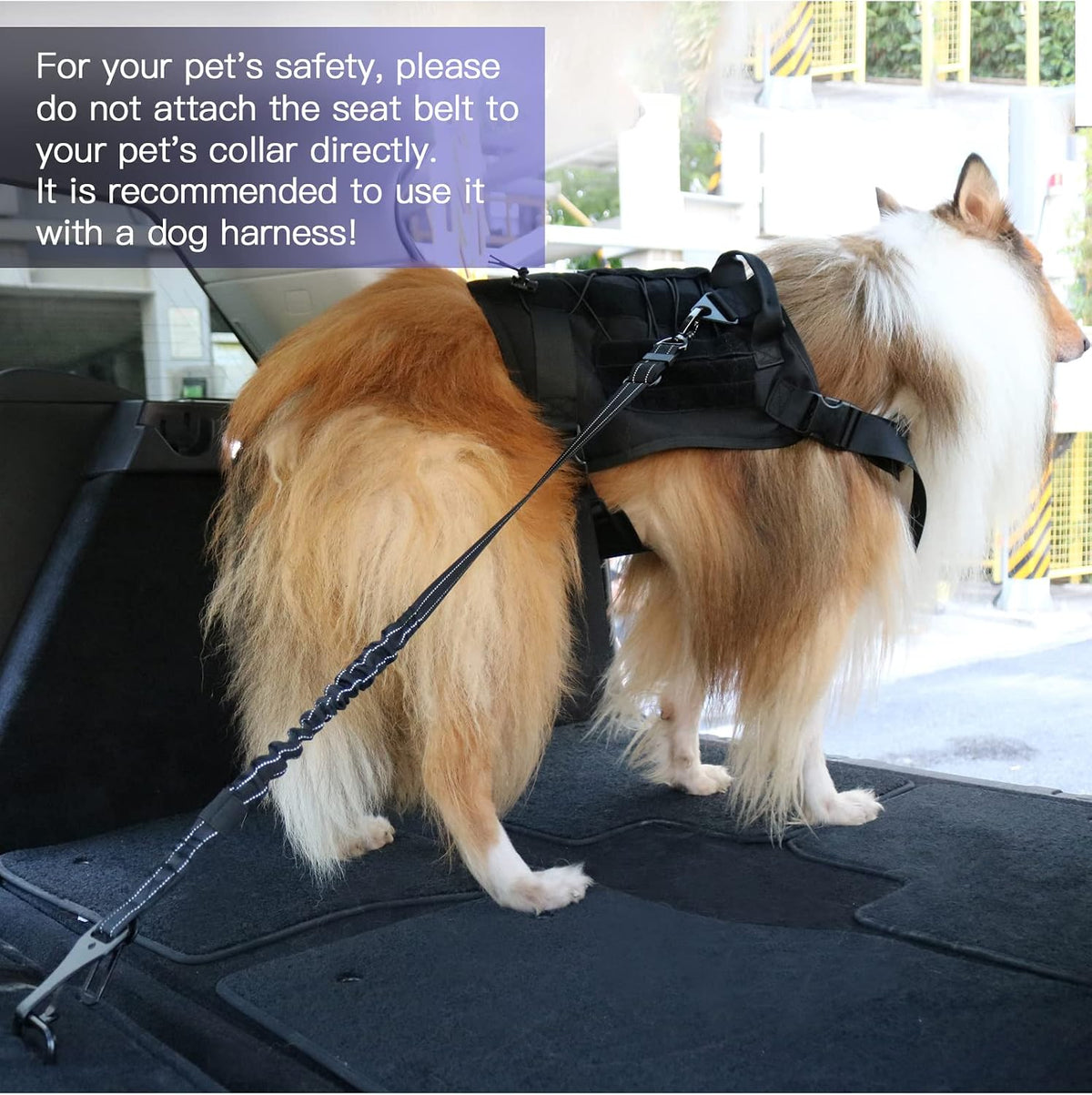 Dog Seat Belt for Car,Updated 3-in-1 Bungee Dog Car Harness,Black
