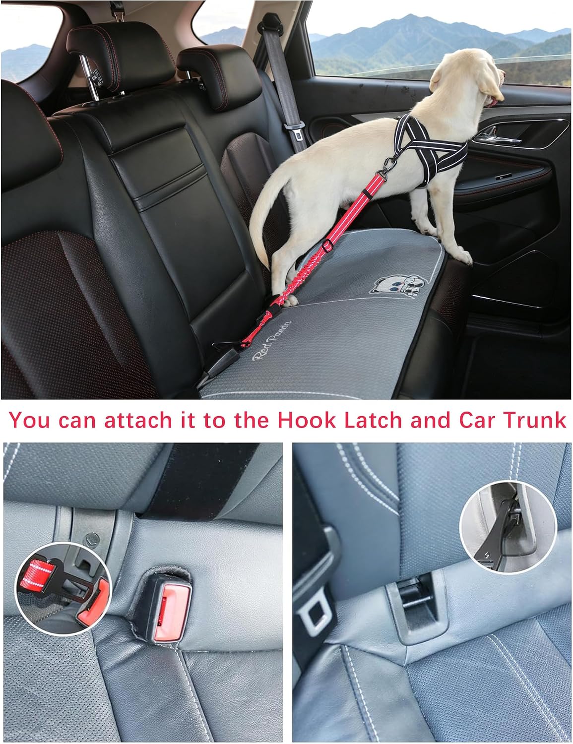 Dog Seat Belt for Car,Updated 3-in-1 Bungee Dog Car Harness,Black