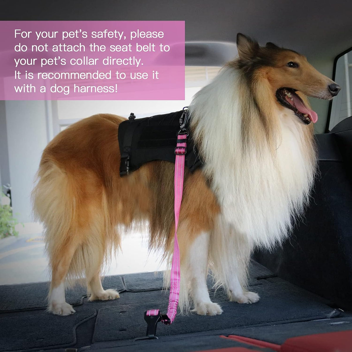 Dog Seat Belt for Car,Updated 3-in-1 Bungee Dog Car Harness,Black