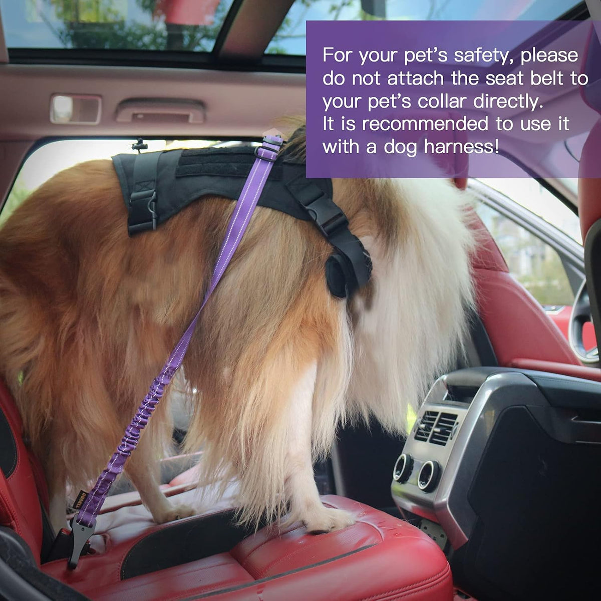 Dog Seat Belt for Car,Updated 3-in-1 Bungee Dog Car Harness,Black