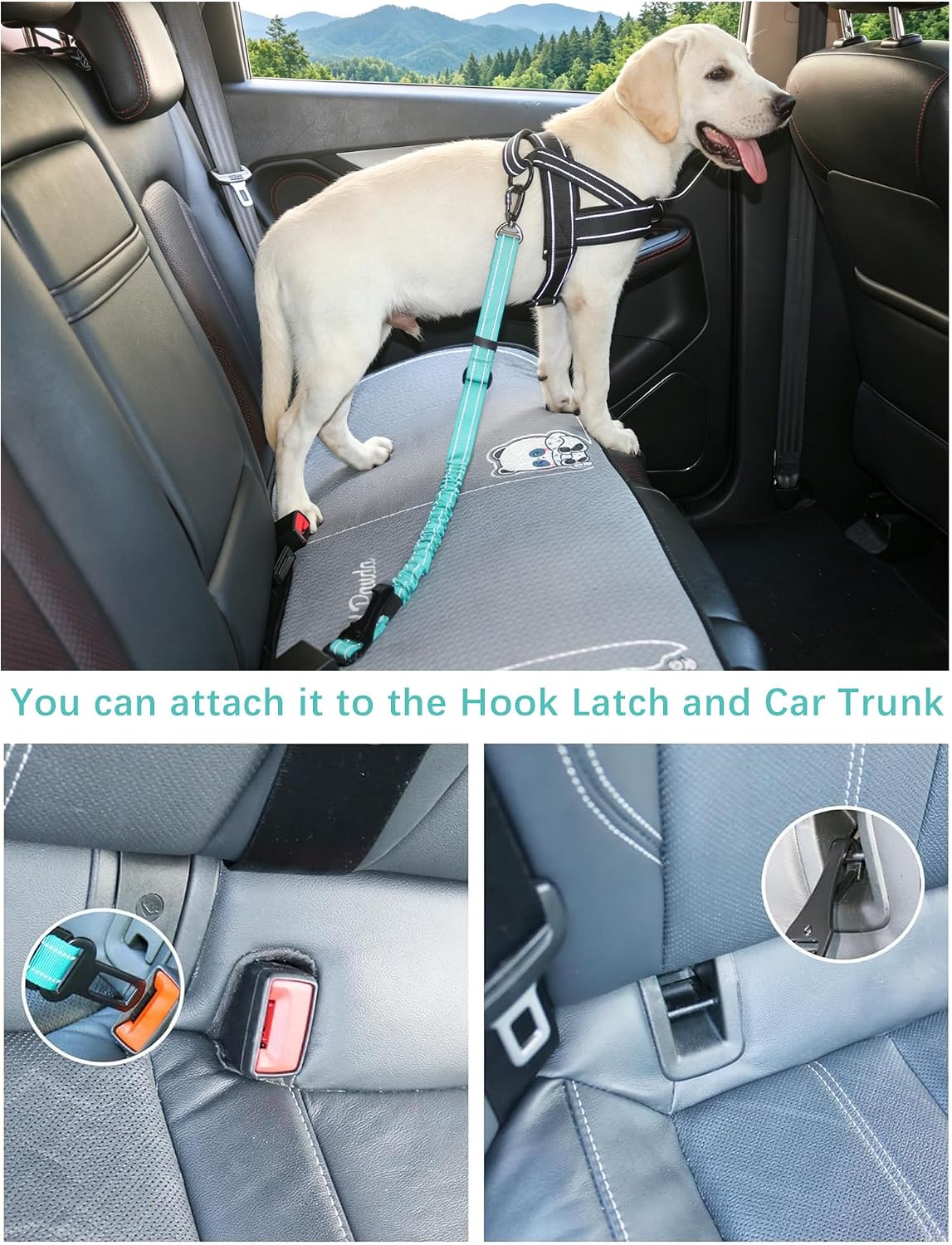 Dog Seat Belt for Car,Updated 3-in-1 Bungee Dog Car Harness,Black