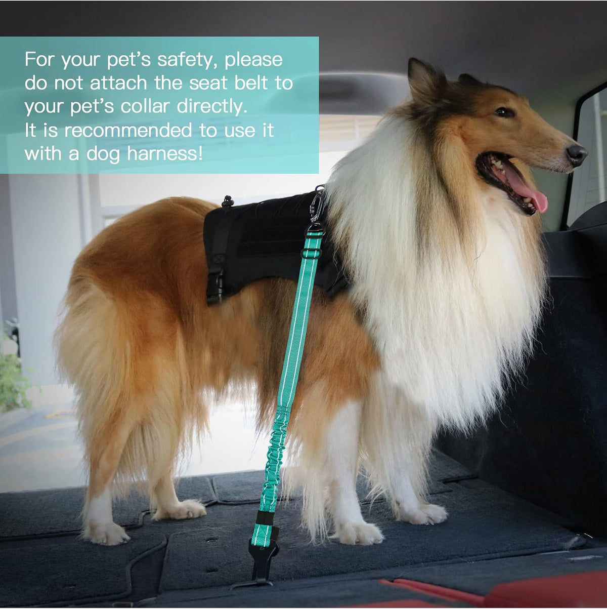 Dog Seat Belt for Car,Updated 3-in-1 Bungee Dog Car Harness,Black