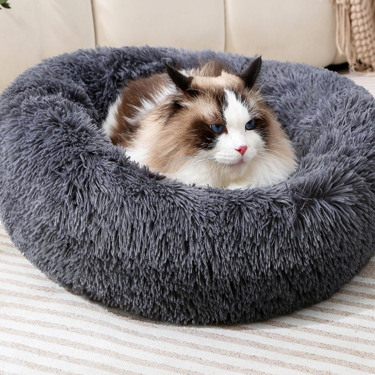Donut Cat Bed, Calming Dog Beds for Small Dogs & Indoor Cats, Dark Dray