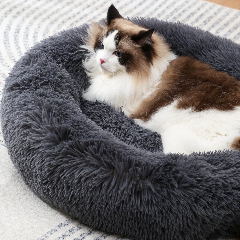Donut Cat Bed, Calming Dog Beds for Small Dogs & Indoor Cats, Dark Dray