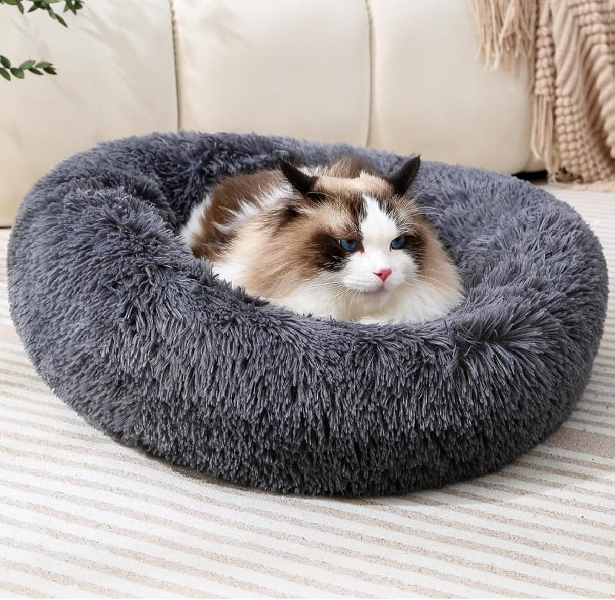 Donut Cat Bed, Calming Dog Beds for Small Dogs & Indoor Cats, Dark Dray