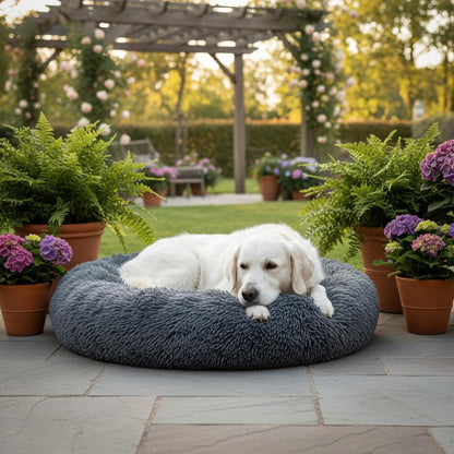 Donut Cat Bed, Calming Dog Beds for Small Dogs & Indoor Cats, Dark Dray