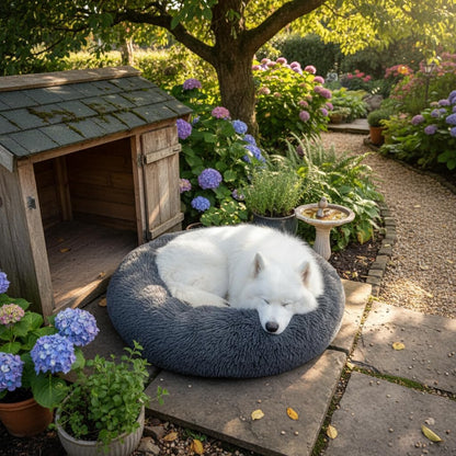 Donut Cat Bed, Calming Dog Beds for Small Dogs & Indoor Cats, Dark Dray