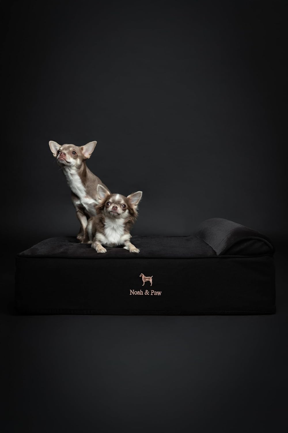 XL Dog Bed, 45x35x9.1 Inch, Orthopedic Large Dog Beds, Eggshell Memory Foam Infused with Cooling Gel, Water Resistant, Machine Washable, Includes Inner Cover