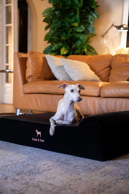 XL Dog Bed, 45x35x9.1 Inch, Orthopedic Large Dog Beds, Eggshell Memory Foam Infused with Cooling Gel, Water Resistant, Machine Washable, Includes Inner Cover