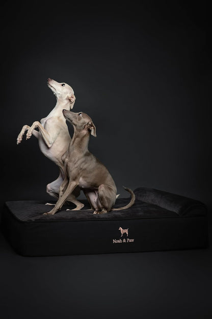 XL Dog Bed, 45x35x9.1 Inch, Orthopedic Large Dog Beds, Eggshell Memory Foam Infused with Cooling Gel, Water Resistant, Machine Washable, Includes Inner Cover