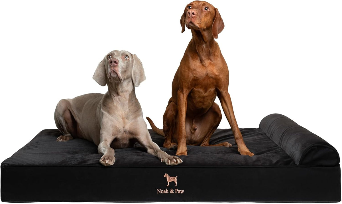 XL Dog Bed, 45x35x9.1 Inch, Orthopedic Large Dog Beds, Eggshell Memory Foam Infused with Cooling Gel, Water Resistant, Machine Washable, Includes Inner Cover