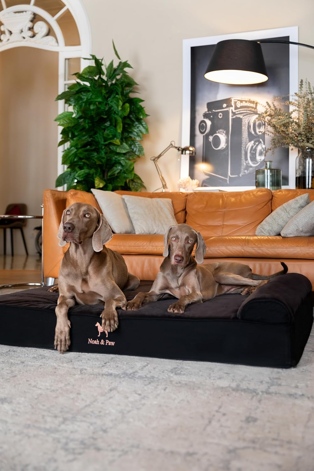 XL Dog Bed, 45x35x9.1 Inch, Orthopedic Large Dog Beds, Eggshell Memory Foam Infused with Cooling Gel, Water Resistant, Machine Washable, Includes Inner Cover