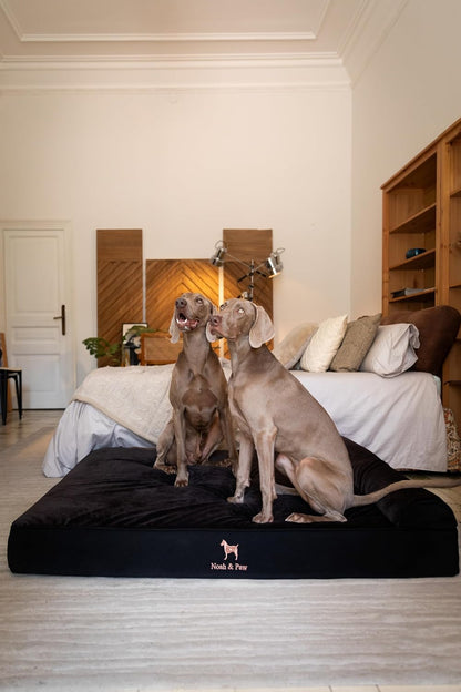 XL Dog Bed, 45x35x9.1 Inch, Orthopedic Large Dog Beds, Eggshell Memory Foam Infused with Cooling Gel, Water Resistant, Machine Washable, Includes Inner Cover