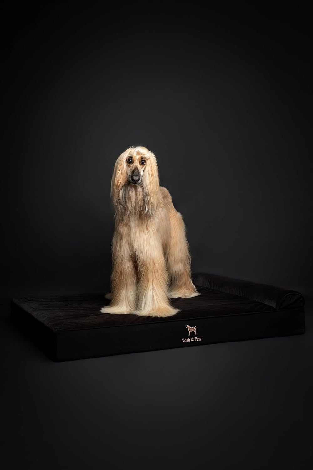 XL Dog Bed, 45x35x9.1 Inch, Orthopedic Large Dog Beds, Eggshell Memory Foam Infused with Cooling Gel, Water Resistant, Machine Washable, Includes Inner Cover