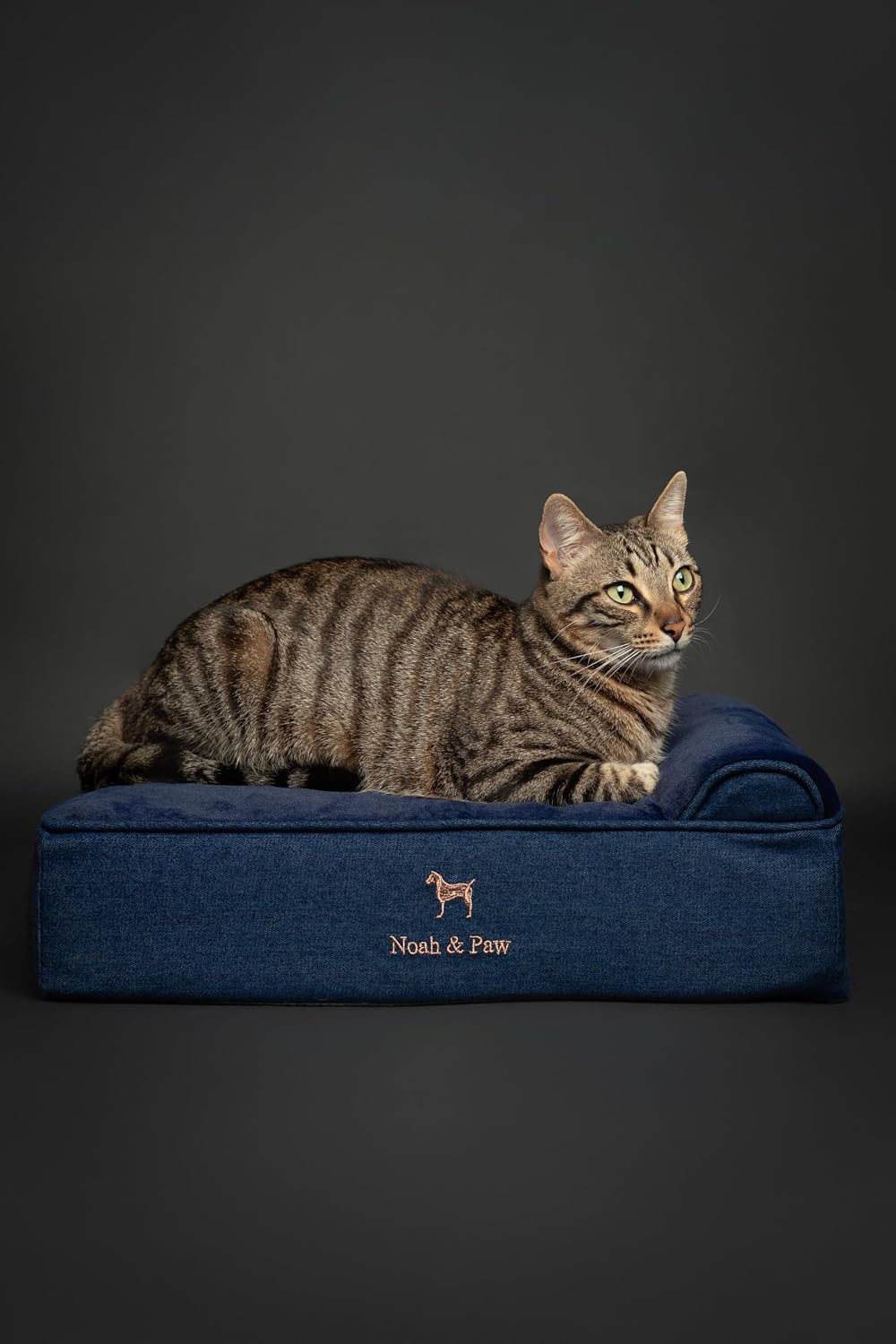 XL Dog Bed, 45x35x9.1 Inch, Orthopedic Large Dog Beds, Eggshell Memory Foam Infused with Cooling Gel, Water Resistant, Machine Washable, Includes Inner Cover