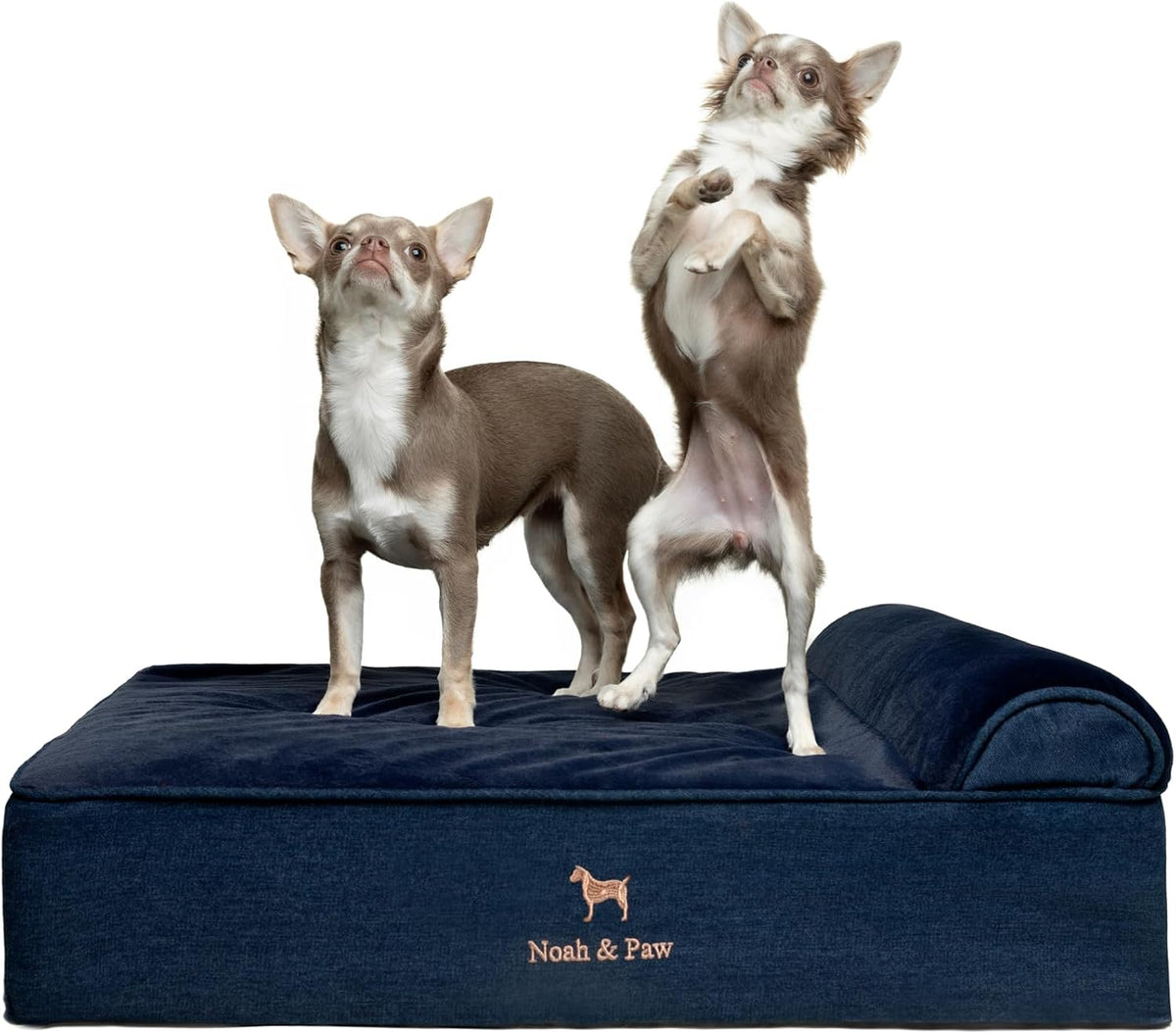 XL Dog Bed, 45x35x9.1 Inch, Orthopedic Large Dog Beds, Eggshell Memory Foam Infused with Cooling Gel, Water Resistant, Machine Washable, Includes Inner Cover