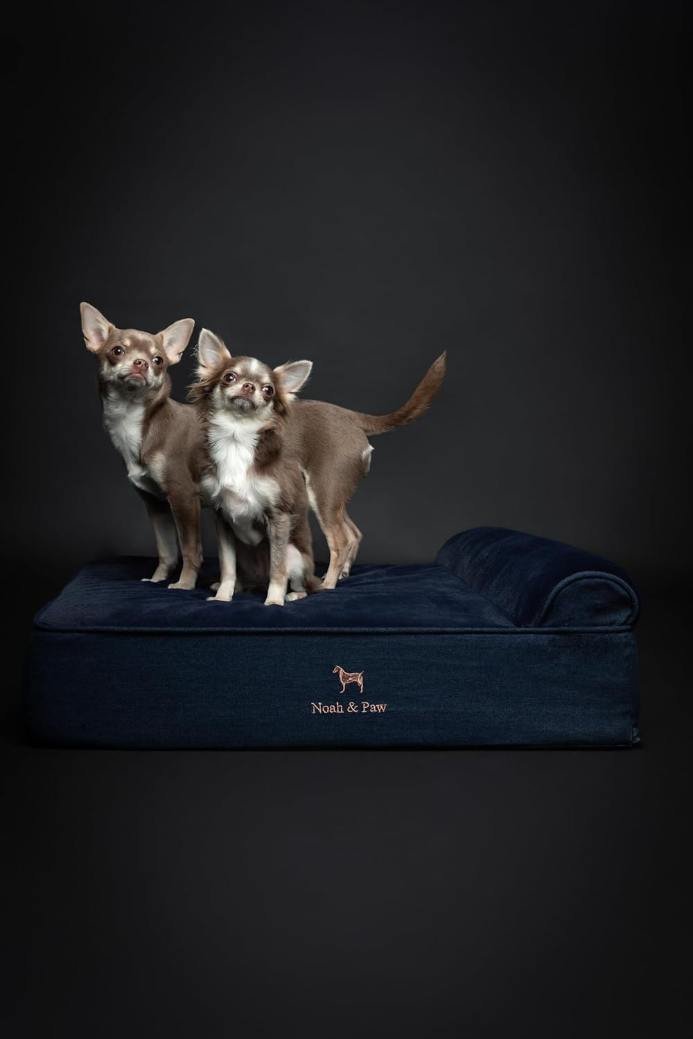 XL Dog Bed, 45x35x9.1 Inch, Orthopedic Large Dog Beds, Eggshell Memory Foam Infused with Cooling Gel, Water Resistant, Machine Washable, Includes Inner Cover
