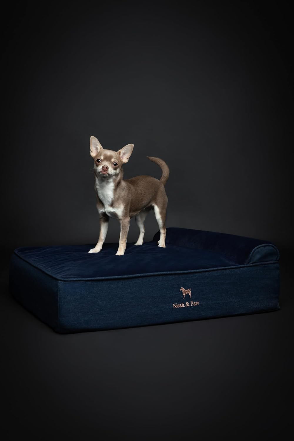 XL Dog Bed, 45x35x9.1 Inch, Orthopedic Large Dog Beds, Eggshell Memory Foam Infused with Cooling Gel, Water Resistant, Machine Washable, Includes Inner Cover