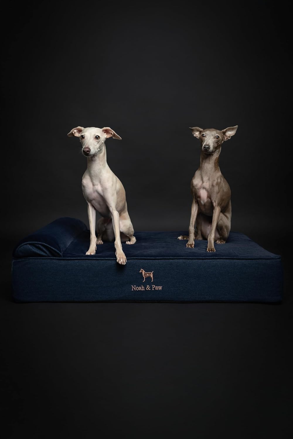 XL Dog Bed, 45x35x9.1 Inch, Orthopedic Large Dog Beds, Eggshell Memory Foam Infused with Cooling Gel, Water Resistant, Machine Washable, Includes Inner Cover