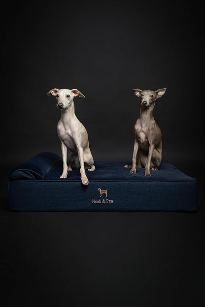 XL Dog Bed, 45x35x9.1 Inch, Orthopedic Large Dog Beds, Eggshell Memory Foam Infused with Cooling Gel, Water Resistant, Machine Washable, Includes Inner Cover