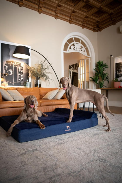XL Dog Bed, 45x35x9.1 Inch, Orthopedic Large Dog Beds, Eggshell Memory Foam Infused with Cooling Gel, Water Resistant, Machine Washable, Includes Inner Cover