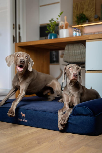 XL Dog Bed, 45x35x9.1 Inch, Orthopedic Large Dog Beds, Eggshell Memory Foam Infused with Cooling Gel, Water Resistant, Machine Washable, Includes Inner Cover