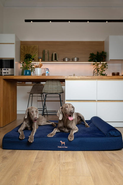XL Dog Bed, 45x35x9.1 Inch, Orthopedic Large Dog Beds, Eggshell Memory Foam Infused with Cooling Gel, Water Resistant, Machine Washable, Includes Inner Cover