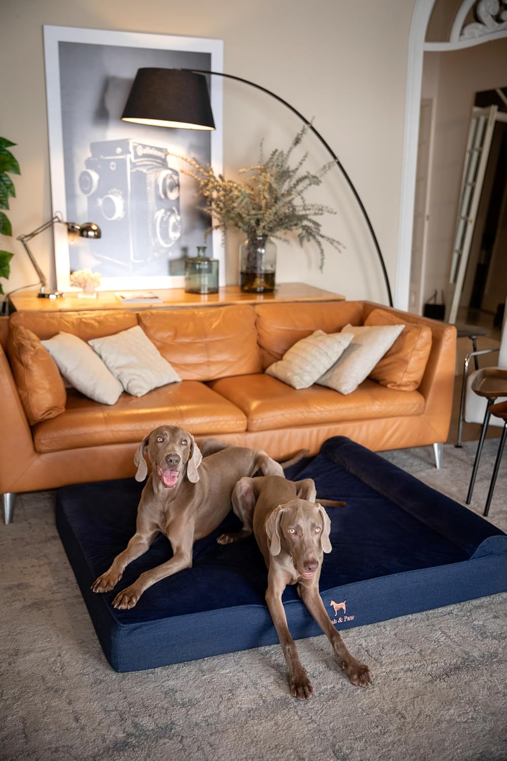 XL Dog Bed, 45x35x9.1 Inch, Orthopedic Large Dog Beds, Eggshell Memory Foam Infused with Cooling Gel, Water Resistant, Machine Washable, Includes Inner Cover