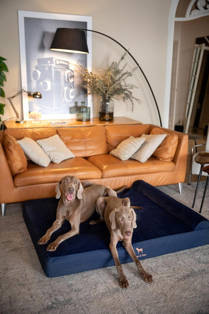 XL Dog Bed, 45x35x9.1 Inch, Orthopedic Large Dog Beds, Eggshell Memory Foam Infused with Cooling Gel, Water Resistant, Machine Washable, Includes Inner Cover