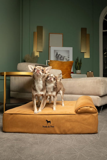 XL Dog Bed, 45x35x9.1 Inch, Orthopedic Large Dog Beds, Eggshell Memory Foam Infused with Cooling Gel, Water Resistant, Machine Washable, Includes Inner Cover