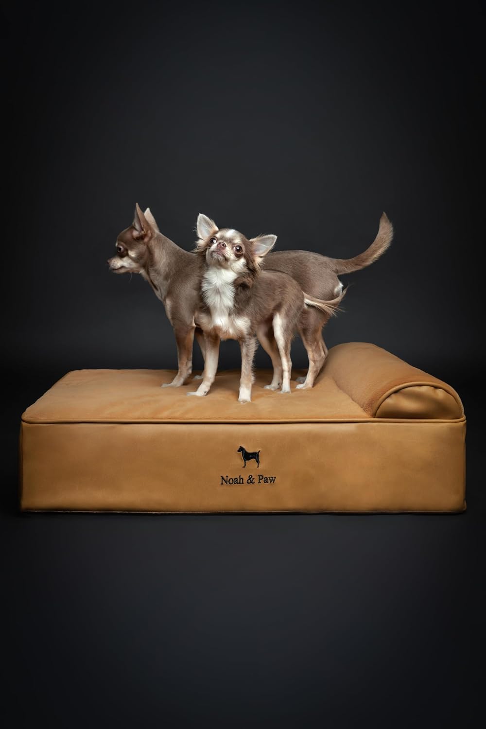 XL Dog Bed, 45x35x9.1 Inch, Orthopedic Large Dog Beds, Eggshell Memory Foam Infused with Cooling Gel, Water Resistant, Machine Washable, Includes Inner Cover