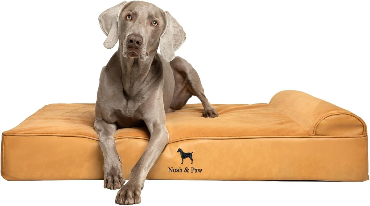 XL Dog Bed, 45x35x9.1 Inch, Orthopedic Large Dog Beds, Eggshell Memory Foam Infused with Cooling Gel, Water Resistant, Machine Washable, Includes Inner Cover
